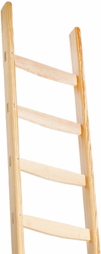 Houten bibliotheekladder - Houten boekenkastladder - Enkele houten ladder |  bol.com