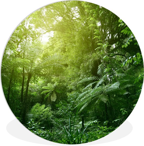 WallCircle - Wandcirkel ⌀ 60 - Jungle - Planten - Bladeren - Jongens - Meisjes - Kinderen - Ronde schilderijen woonkamer - Wandbord rond - Muurdecoratie cirkel - Kamer decoratie binnen - Wanddecoratie muurcirkel - Woonaccessoires