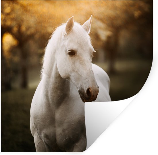 Stickers muraux - Sticker Foil - Cheval - Soleil - Automne - Animaux - Nature - 30x30 cm - Film Adhésif - Stickers muraux Chambre Enfant - Papier Peint Auto Adhésif