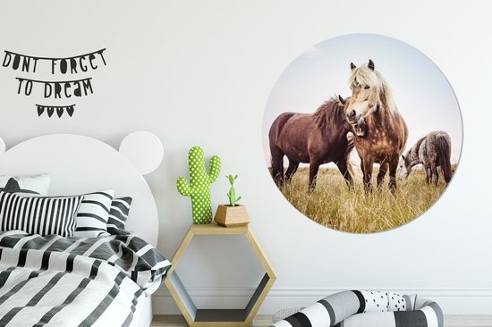 WallCircle - Wall Circle - Wall Circle Indoor - Paarden - Herbe - Printemps - 120x120 cm - Décoration murale - Peintures Ronds XXL