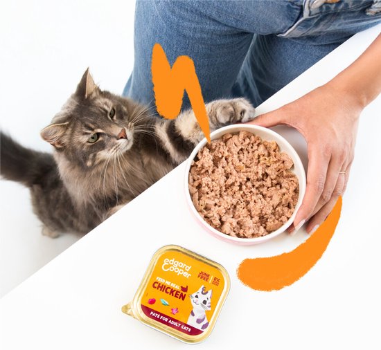 Een grijze cyperse kat kijkt naar de camera terwijl een hand een kom met nat kattenvoer aanbiedt. Naast de kom ligt een blikje Edgard & Cooper kip paté voor volwassen katten.