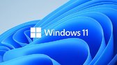 Microsoft Windows 11 Pro Besturingsysteem - Multilanguage - USB