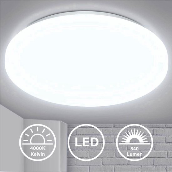 Ik heb een contract gemaakt Blij Afhankelijk LED wc-verlichting - plafondlamp - BESTLA - wit - 4000K - Koel Wit licht -  12 Watt -... | bol.com