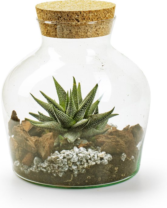 Vase / vases terrarium transparent en verre écologique 17 x 21 cm avec  bouchon /... | bol.com