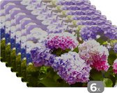 Placemat - Placemats kunststof - Bloemen - Hortensia - Roze - Bladeren - Zon - 45x30 cm - 6 stuks - Hittebestendig - Anti-Slip - Onderlegger - Afneembaar