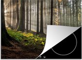 KitchenYeah® Inductie beschermer 70x52 cm - Zon - Takken - Bomen - Bos - Natuur - Kookplaataccessoires - Afdekplaat voor kookplaat - Inductiebeschermer - Inductiemat - Inductieplaat mat