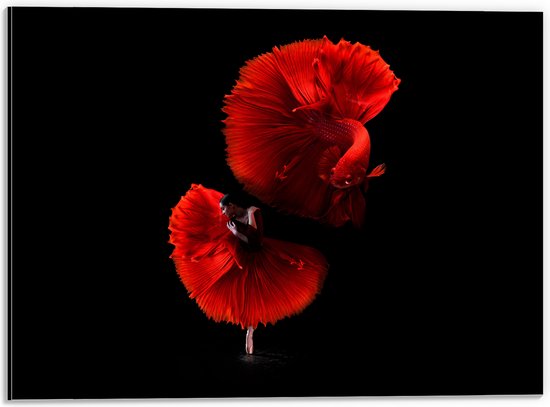 WallClassics - Dibond - Danser met Rode Jurk en Vis - 40x30 cm Foto op Aluminium (Met Ophangsysteem)