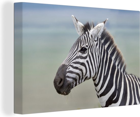Canvas Schilderij Zebra close-up - Wanddecoratie