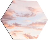 WallClassics - Dibond Hexagon - Pastelkleuren in de Lucht - 50x43.5 cm Foto op Hexagon (Met Ophangsysteem)