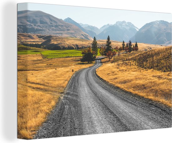 Canvas Schilderij Weg Nieuw-Zeeland fotoprint - 60x40 cm - Wanddecoratie