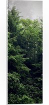 WallClassics - PVC Schuimplaat- Groene Bomen - 20x60 cm Foto op PVC Schuimplaat