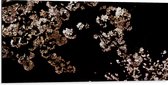 WallClassics - Dibond - Roze Bloesembloemetjes aan Tak in de Nacht - 100x50 cm Foto op Aluminium (Met Ophangsysteem)