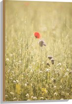 WallClassics - Hout - Rood Bloempje tussen Grassen - 50x75 cm - 12 mm dik - Foto op Hout (Met Ophangsysteem)