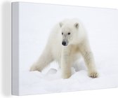 Canvas Schilderij Dieren - IJsbeer - Sneeuw - 60x40 cm - Wanddecoratie
