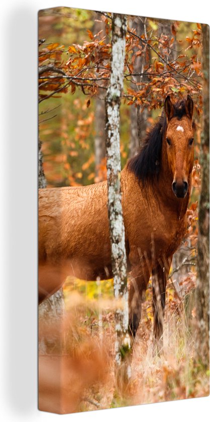 Tableau sur toile Cheval - Forêt - Marron - 20x40 cm - Décoration murale
