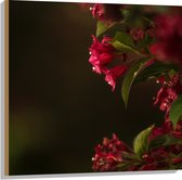 WallClassics - Hout - Roze Bloemen - 80x80 cm - 12 mm dik - Foto op Hout (Met Ophangsysteem)