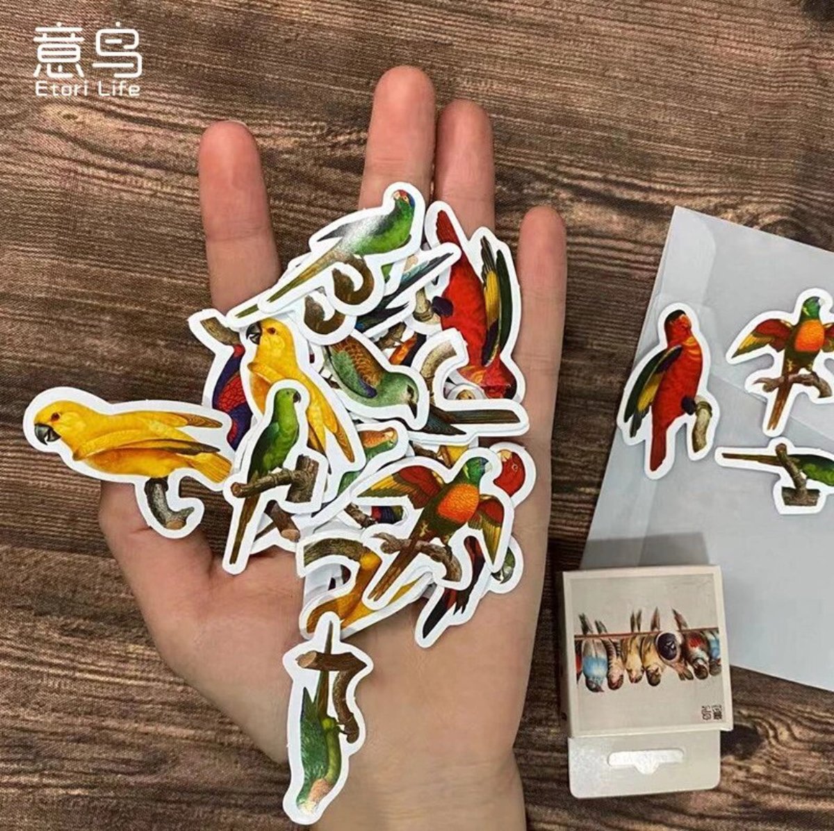 Papegaai & Vogels Stickers 46 stickers – Bullet Journal, Planner & Scrapbook Stickers – Sinterklaas & Kerstcadeau – Schoencadeau – Cadeaus onder €5