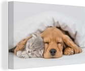 Canvas - Canvas doek - Kat - Hond - Poes - Honden - Deken - Dieren - Dier - Kamer decoratie - 60x40 cm