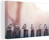 Canvas Schilderij Vogels - Mussen - Paaltjes - Hout - 90x60 cm - Wanddecoratie