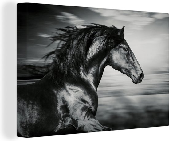 Canvas schilderij - Dieren - Paard - Natuur - Zwart - Wit - Woondecoratie - 120x80 cm - Foto op canvas - Canvas doek