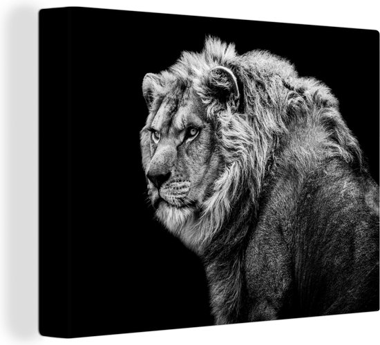 Tableau sur toile - Animaux sauvages - Lion - Zwart - Wit - Décoration murale - Toile - 80x60 cm - Toile canvas - Salon