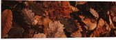 WallClassics - Dibond - Herfstbladeren op Hoop - 120x40 cm Foto op Aluminium (Wanddecoratie van metaal)
