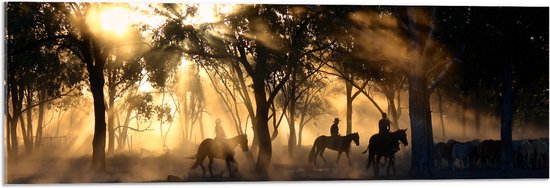 WallClassics - Acrylglas - Groepje Paarden in Bos verlicht door Zon - 90x30 cm Foto op Acrylglas (Met Ophangsysteem)
