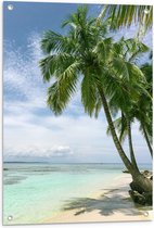 WallClassics - Tuinposter – Groene Palmbomen op Wit Strand - 60x90 cm Foto op Tuinposter  (wanddecoratie voor buiten en binnen)