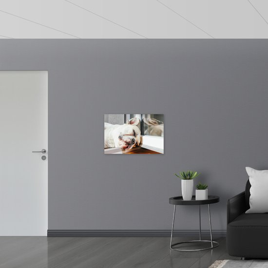 WallClassics - Poster Glossy - Sleeping Dog in the Window Frame - 75x50 cm Photo sur Papier Poster avec Finition Brillante