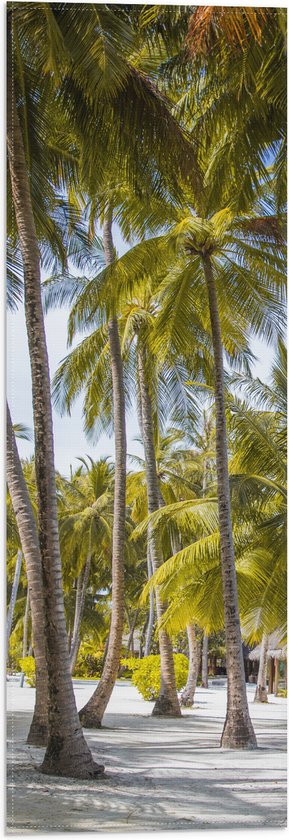 WallClassics - Vlag - Grote Groene Palmbomen - 20x60 cm Foto op Polyester Vlag