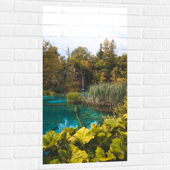 WallClassics - Muursticker - Helder Blauw Water tussen Groene Planten - 50x100 cm Foto op Muursticker