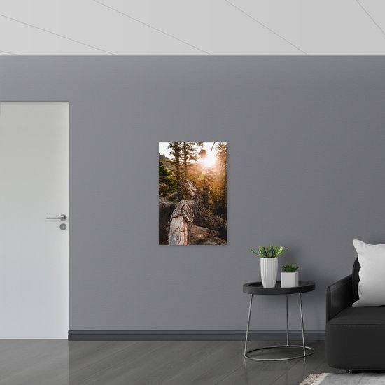 WallClassics - Bois - Grande Souche Tombée - 60x90 cm - 12 mm d'épaisseur - Photo sur Bois (Avec Système d'accrochage)