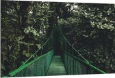 WallClassics - Dibond - Groene Brug in Bosgebied - 150x100 cm Foto op Aluminium (Met Ophangsysteem)