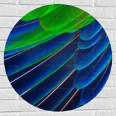 WallClassics - Muursticker Cirkel - Prachtige Blauwe en Groene Veren - 70x70 cm Foto op Muursticker