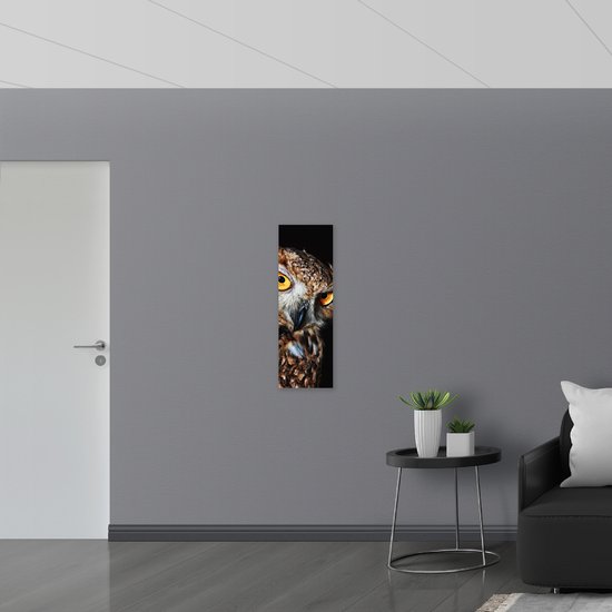 WallClassics - Drapeau - Hibou grand-duc avec fond noir - Photo 30x90 cm sur drapeau polyester
