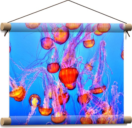 WallClassics - Textielposter - Oranje Kwallen in Blauwe Zee - 40x30 cm Foto op Textiel