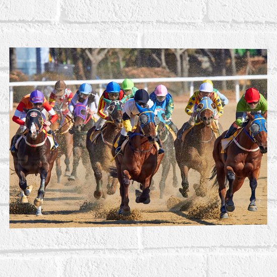 WallClassics - Muursticker - Paarden Race - 40x30 cm Foto op Muursticker