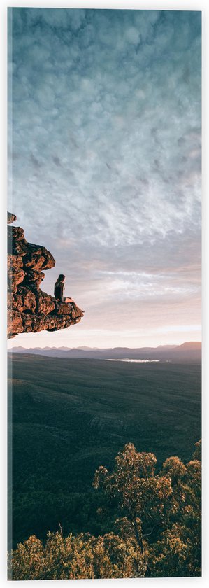 WallClassics - Acrylglas - Grote Rots hangend over Landschap - 20x60 cm Foto op Acrylglas (Met Ophangsysteem)