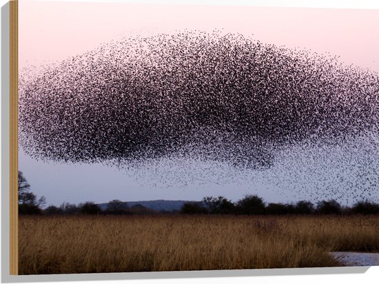WallClassics - Hout - Grote Zwerm Vogels in de Lucht - 80x60 cm - 12 mm dik - Foto op Hout (Met Ophangsysteem)