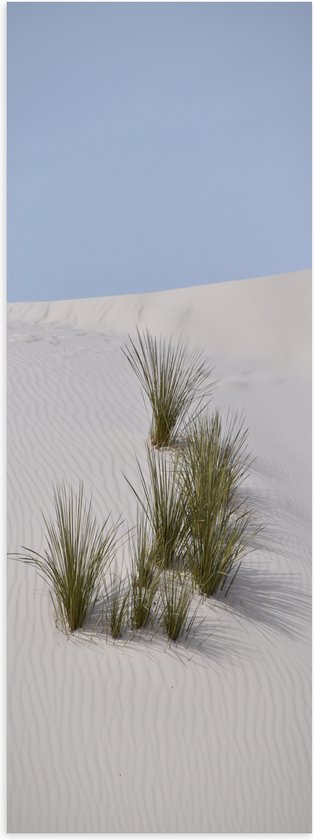 WallClassics - Poster (Matte) - Herbes dans le Sable dans les dunes - 50x150 cm Photo sur Papier Poster avec un aspect Mat