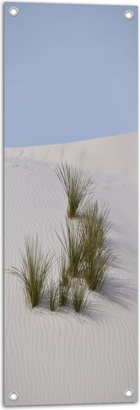 WallClassics - Tuinposter – Grassen in het Zand in Duinen - 30x90 cm Foto op Tuinposter  (wanddecoratie voor buiten en binnen)