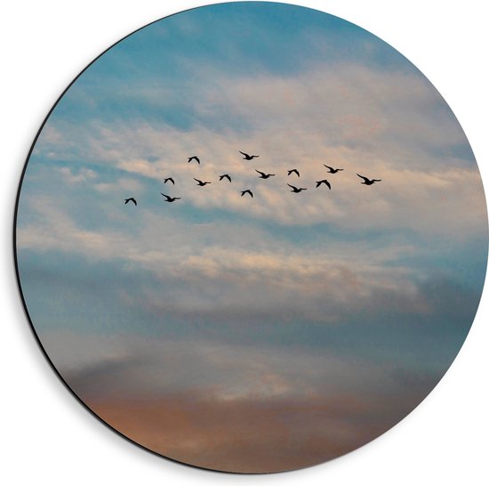 WallClassics - Dibond Muurcirkel - Groep Vliegende Vogels - 40x40 cm Foto op Aluminium Muurcirkel (met ophangsysteem)