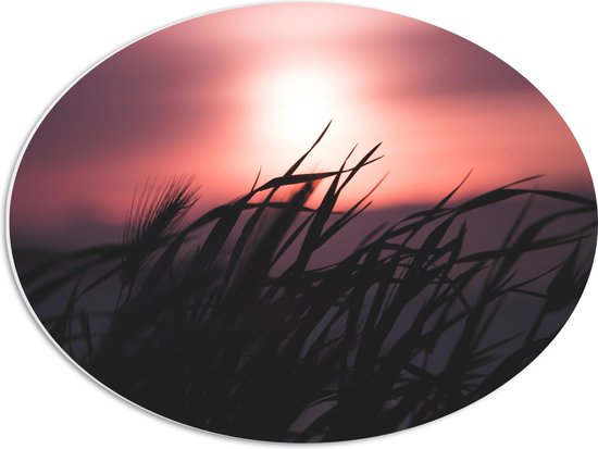 WallClassics - PVC Schuimplaat Ovaal - Donkere Grassen bij Rozekleurige Lucht - 56x42 cm Foto op Ovaal  (Met Ophangsysteem)