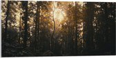 WallClassics - Verre acrylique - Crépuscule dans la forêt - Photo 100 x 50 cm sur verre acrylique (avec système de suspension)