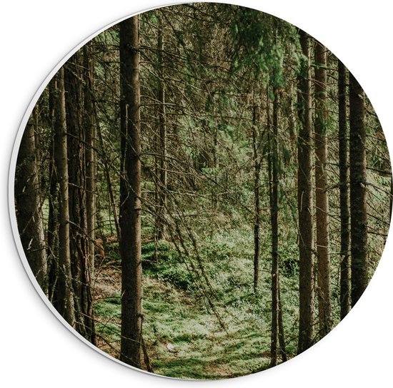 WallClassics - PVC Schuimplaat Muurcirkel - Groene Bladeren op de Grond van Bomen - 20x20 cm Foto op Muurcirkel (met ophangsysteem)
