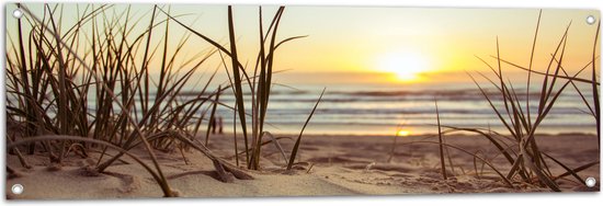 WallClassics - Tuinposter – Grassen in Duinen met Zon - 120x40 cm Foto op Tuinposter  (wanddecoratie voor buiten en binnen)