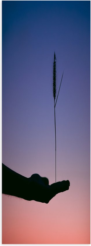 WallClassics - Poster (Mat) - Droog Gras in Handpalm Silhouette - 20x60 cm Foto op Posterpapier met een Matte look