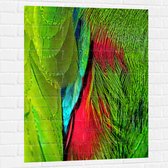 WallClassics - Muursticker - Groen met Rode Veren van een Vogel - 75x100 cm Foto op Muursticker