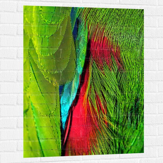 WallClassics - Muursticker - Groen met Rode Veren van een Vogel - 75x100 cm Foto op Muursticker