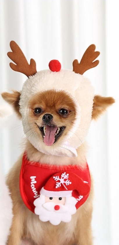 Oefening opleggen Vete Honden Hoedje Kerst - M/L - Wit - Rudolph - Kerstmishoedje - Kerstoutfit  -... | bol.com
